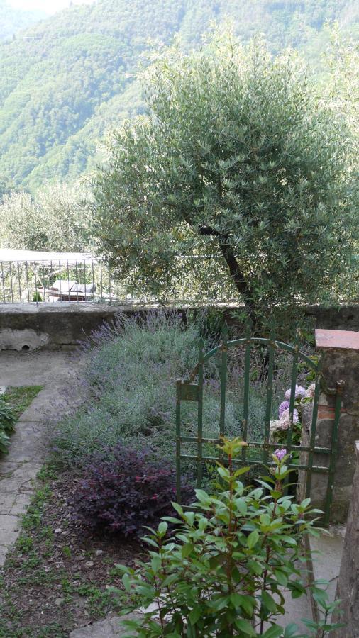 Piscina Con Vista Βίλα Bagni di Lucca Εξωτερικό φωτογραφία